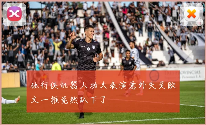 独行侠机器人功夫表演意外失灵欧文一推竟然趴下了